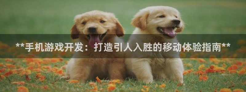 沐鸣平台是黑平台吗知乎：**手机游戏开发