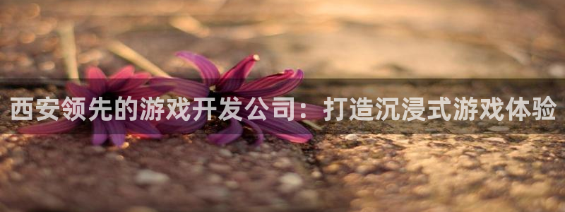 沐鸣4开户：西安领先的游戏开发公司：打造