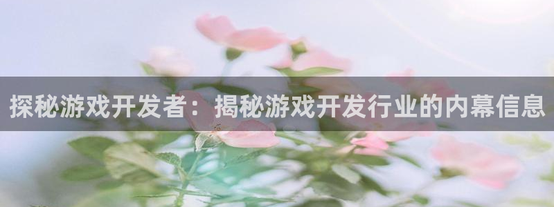 沐鸣注册网站：探秘游戏开发者：揭秘游戏开