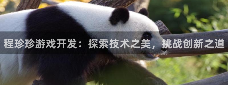 沐鸣注册开户：程珍珍游戏开发：探索技术之