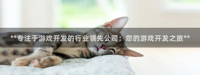 沐鸣平台注册登陆：**专注于游戏开发的行