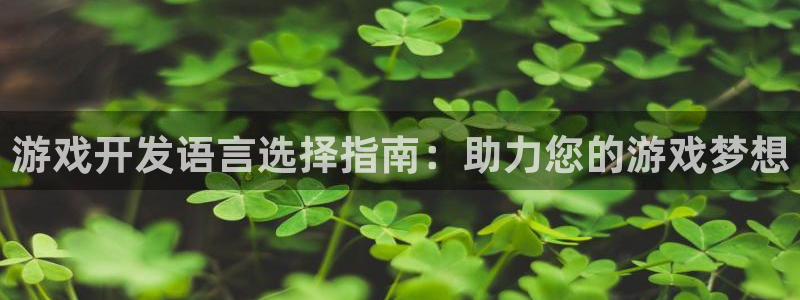 沐鸣娱乐平台怎么样可靠吗：游戏开发语言选