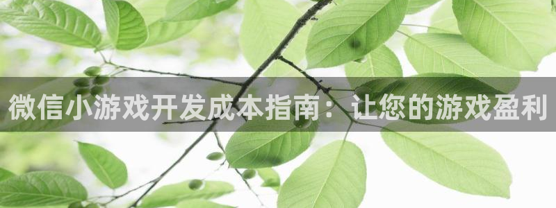 沐鸣娱乐是国外的吗：微信小游戏开发成本指