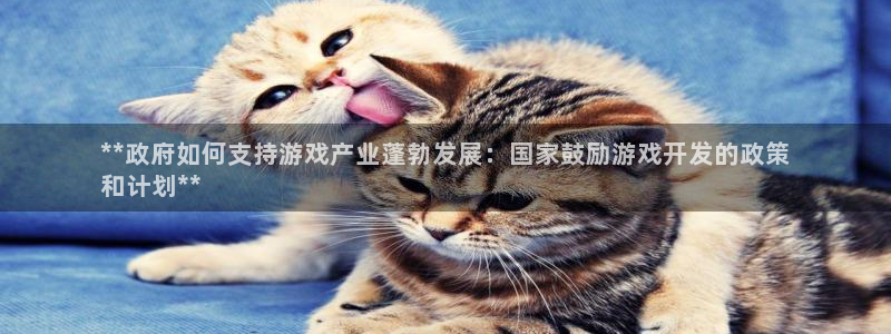 沐鸣娱乐是真的吗：**政府如何支持游戏产