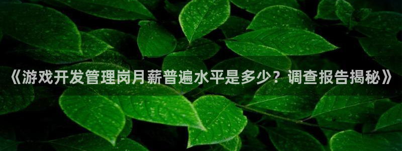 沐鸣集团：《游戏开发管理岗月薪普遍水平是