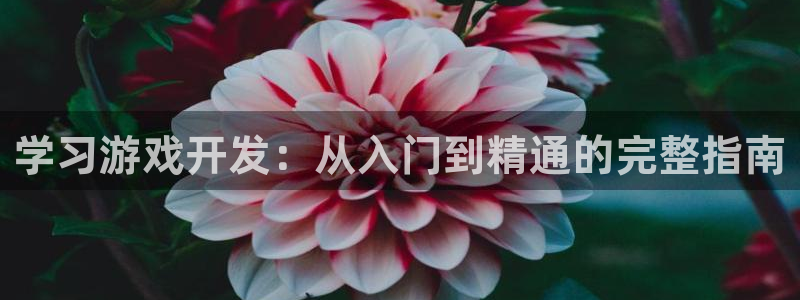 沐鸣平台是黑平台吗知乎：学习游戏开发：从