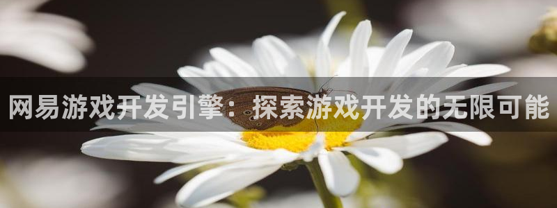 沐鸣平台是黑平台吗知乎：网易游戏开发引擎