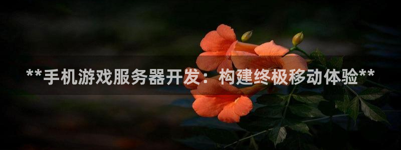 沐鸣科技有限公司：**手机游戏服务器开发