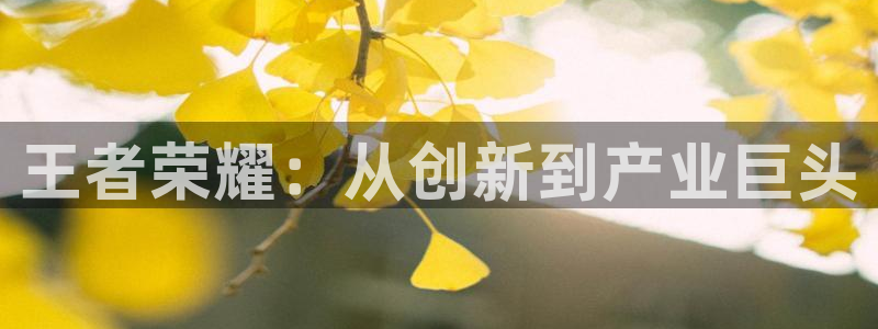 沐鸣4代理：王者荣耀：从创新到产业巨头