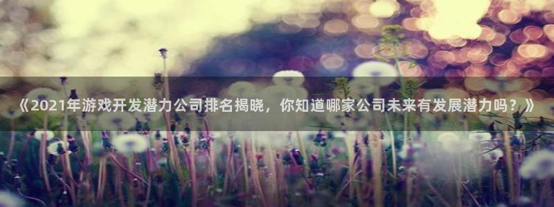 沐鸣科技是属于谁的子公司：《2021年游戏开发潜力
