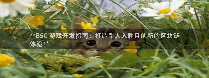 沐鸣注册网站：**BSC 游戏开发指南：