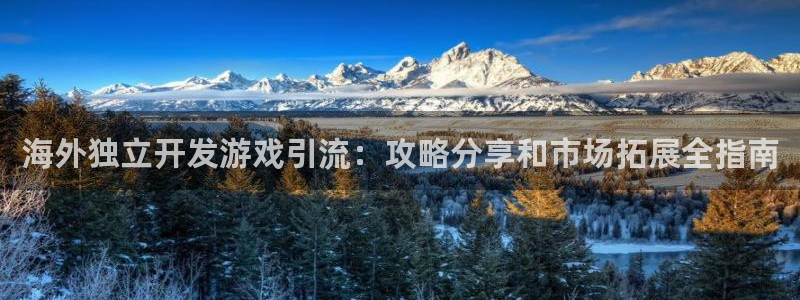 沐鸣4招商：海外独立开发游戏引流：攻略分