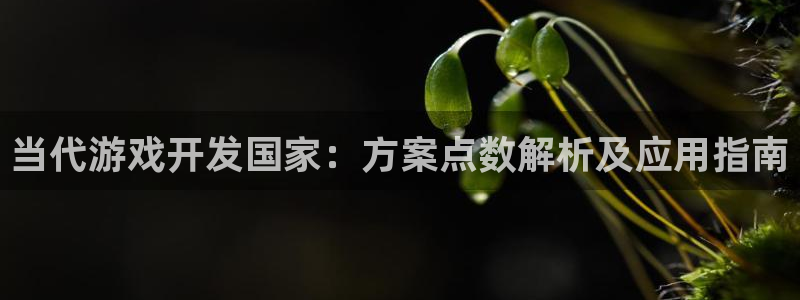 沐鸣3注册：当代游戏开发国家：方案点数解