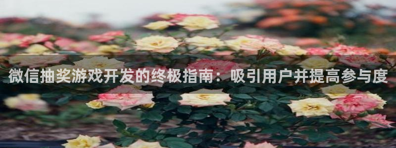 沐鸣注册网站：微信抽奖游戏开发的终极指南
