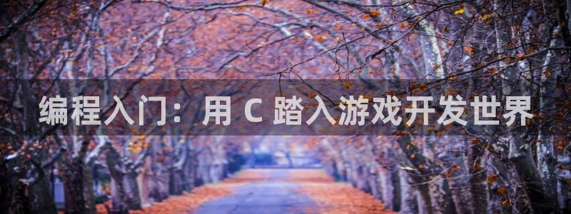 沐鸣娱乐官方网站：编程入门：用 C 踏入