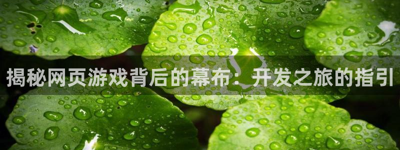 沐鸣娱乐注册登录平台下载：揭秘网页游戏背
