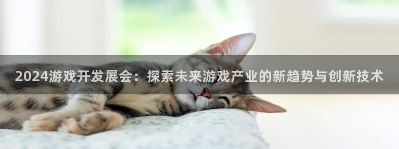 沐鸣1平台注册：2024游戏开发展会：探